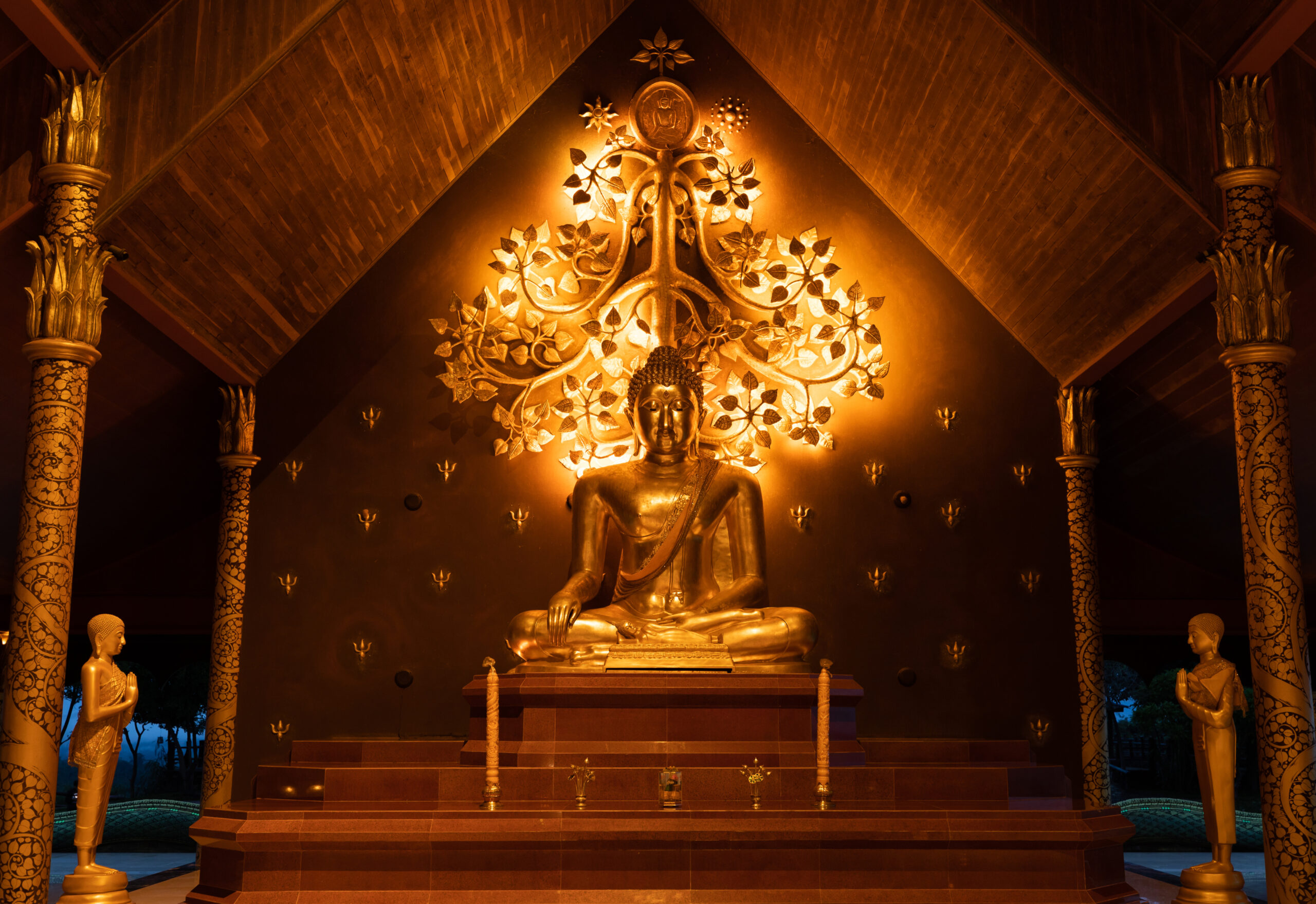 Buddha Night Meditation Hall